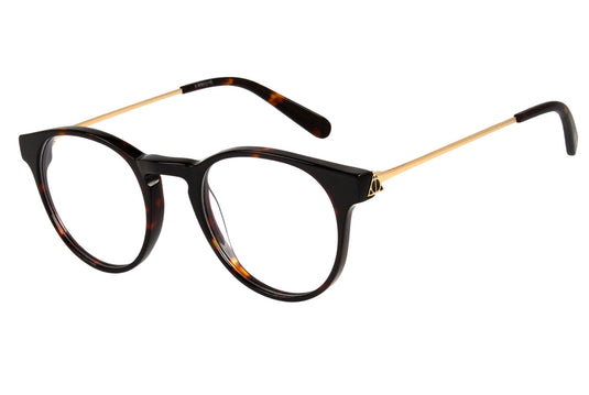 MONTURA DE GAFAS LVAC0513 HARRY POTTER