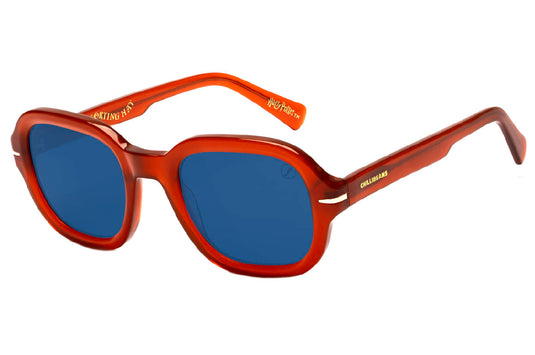 GAFAS DE SOL OCCL4264 HARRY POTTER