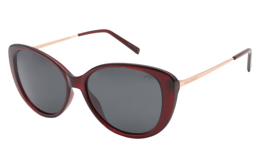 GAFAS DE SOL OCCL4636 CHILLI BEANS
